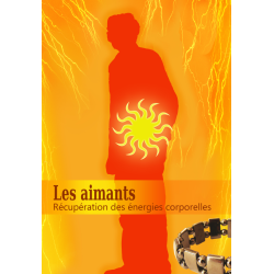 Livre de Louis Uberti - Les aimants, récupération des énergies corporelles
